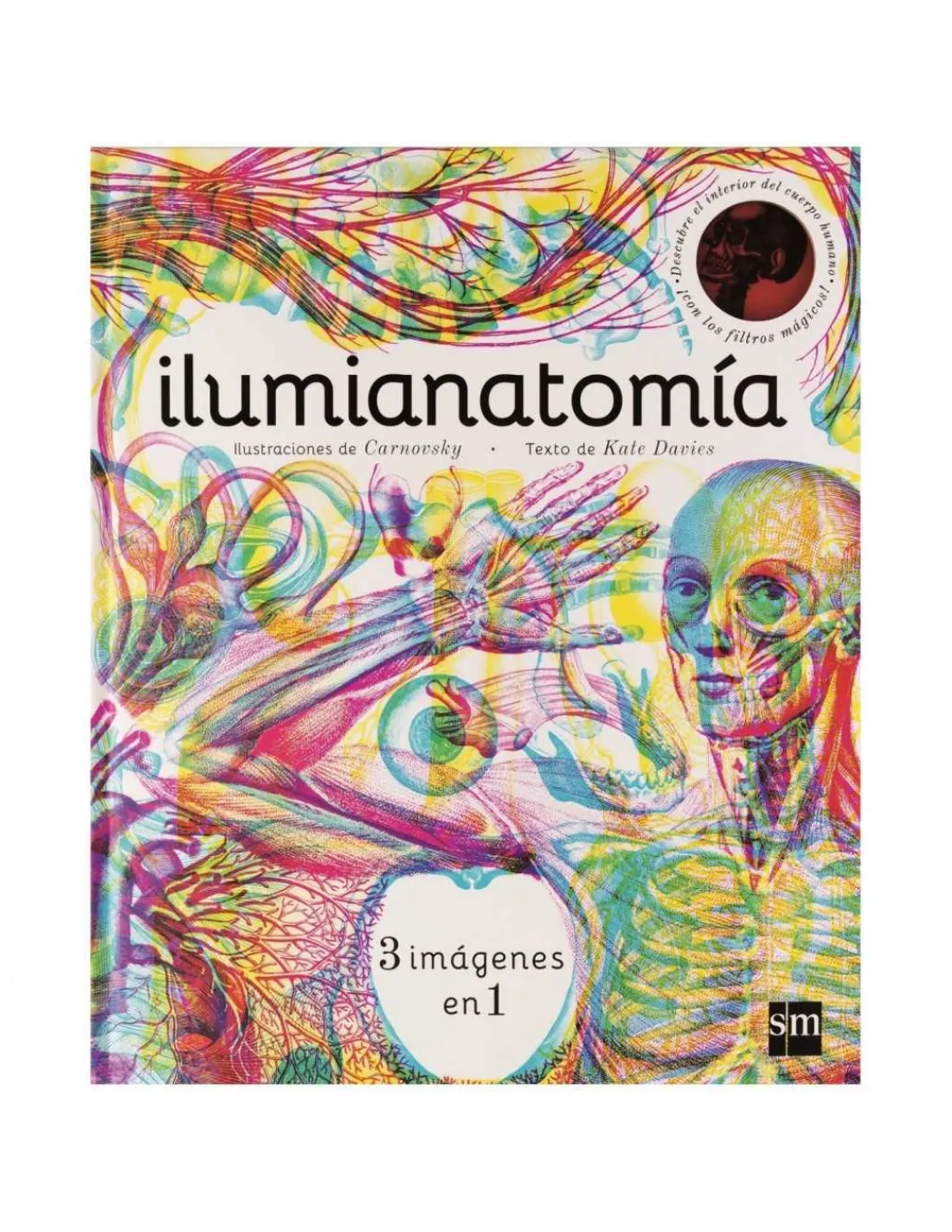 Editorial SM Ilumianatomía
