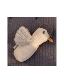 Little Dutch Sonajero Gaviota sailors bay de